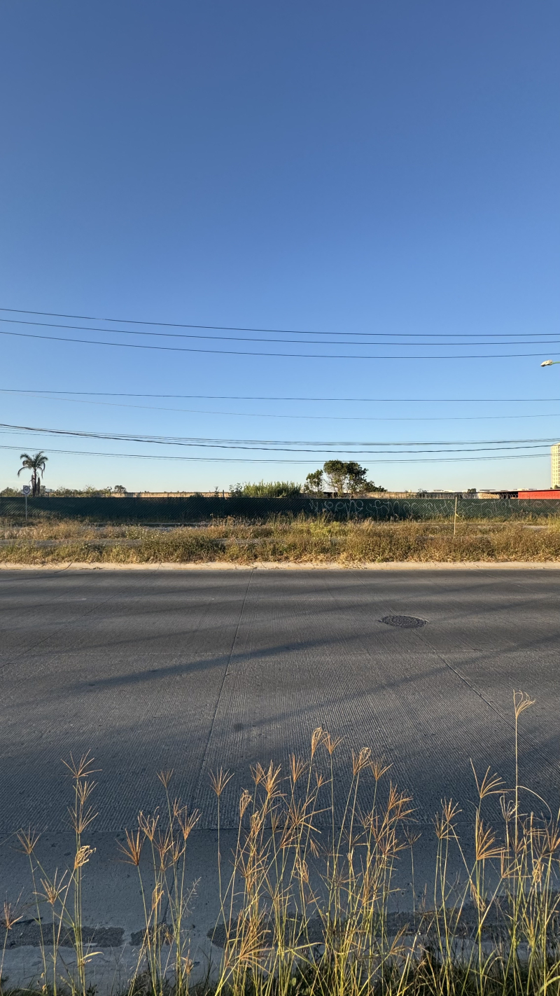 Terreno En Renta En Av. Universidad �?? Ubicación Estratégica 