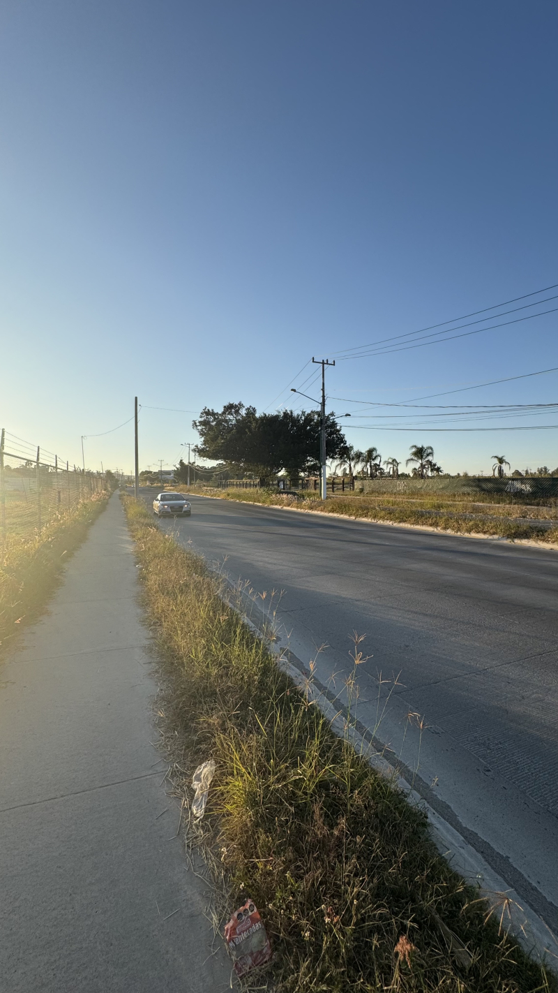 Terreno En Renta En Av. Universidad �?? Ubicación Estratégica 