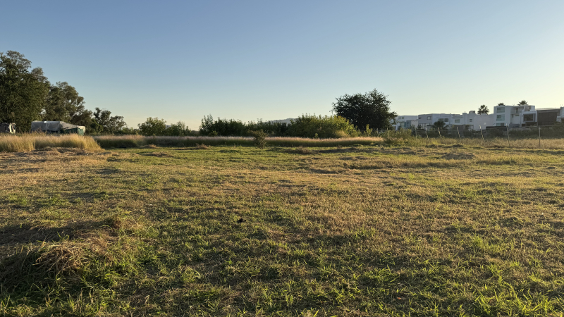 Terreno En Renta En Av. Universidad �?? Ubicación Estratégica 