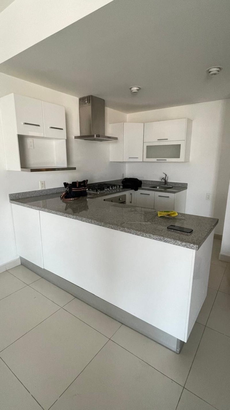 Departamento  En Renta  Ventana Polanco 