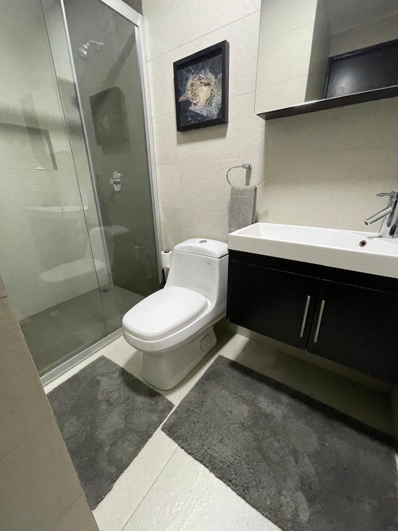 Departamento  En Renta  Ventana Polanco 