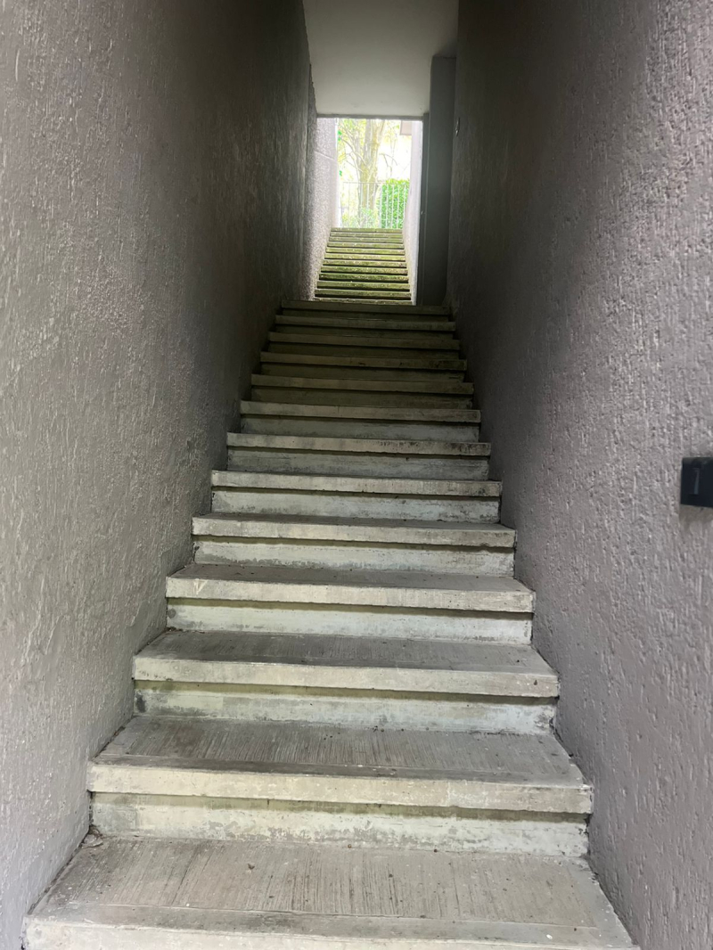 Casa En Renta En Bosques De Las Lomas