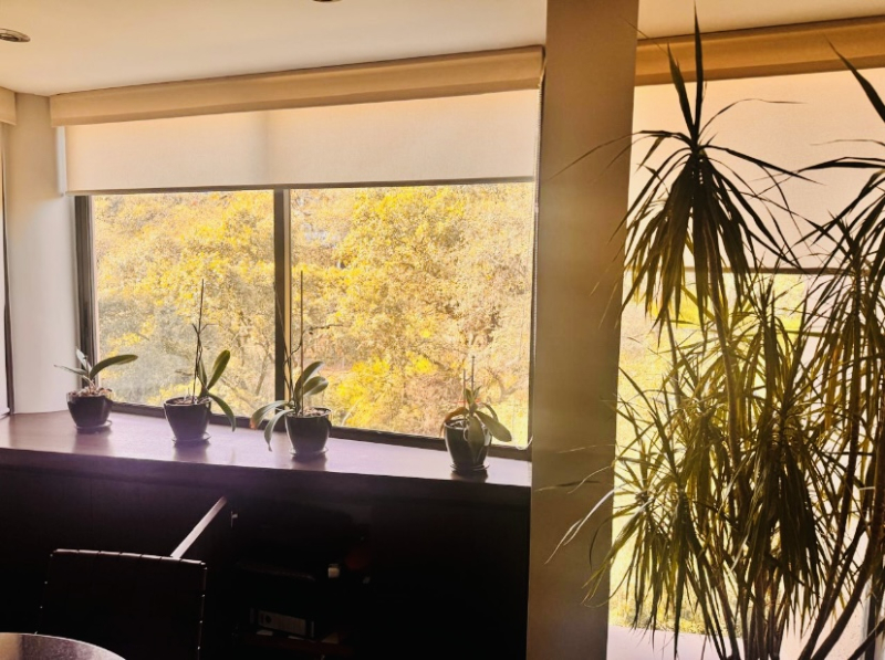 Departamento En Venta En Bosques De Las Lomas, Excelente Vista, Remodelado