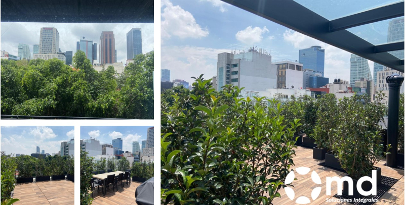 Venta Departamento  A Estrenar En Colonia Cuauhtémoc