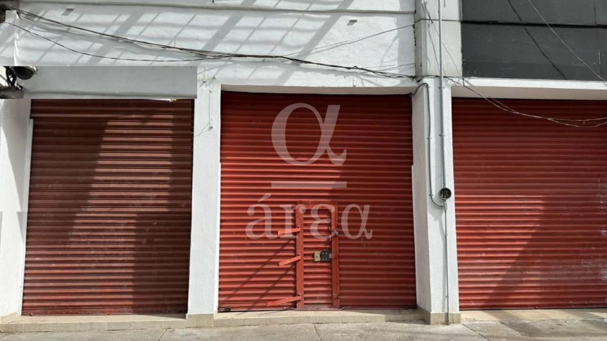 locales en renta en anáhuac