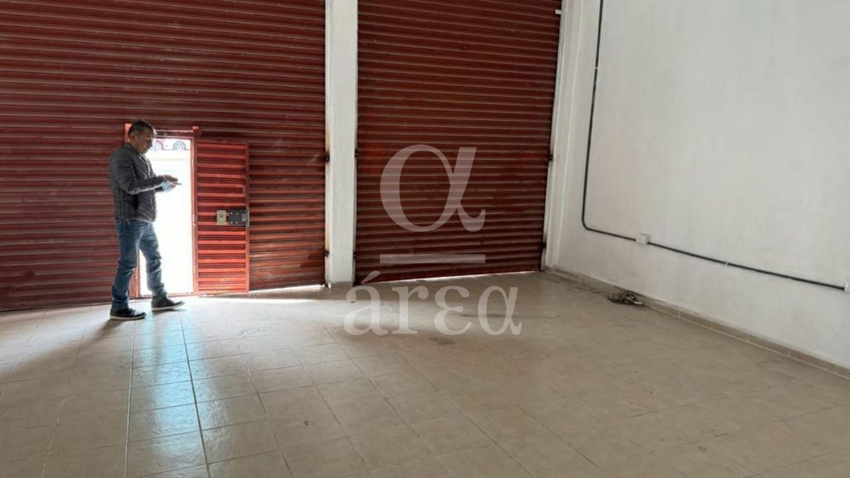 locales en renta en anáhuac