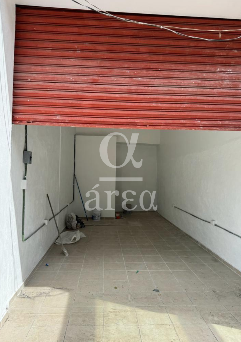 locales en renta en anáhuac