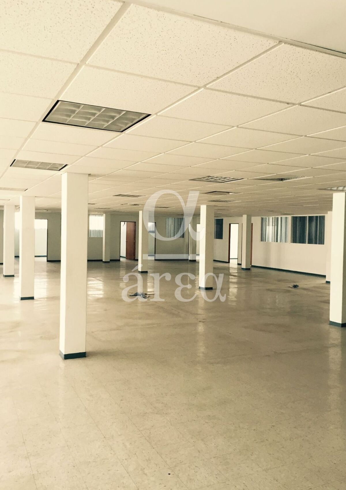 bodega con oficinas y seguridad en renta en alce blanco