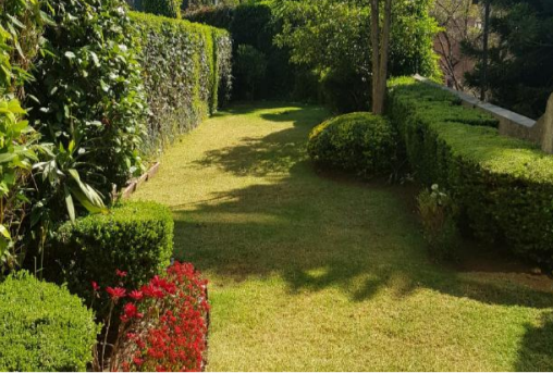 Casa para INVERSIONISTAS de 5 niveles en Venta en Lomas de Tecamachalco