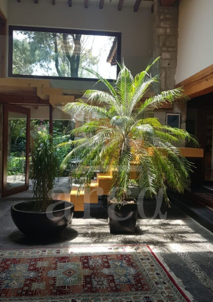 Casa Estilo Mexicano Contemporáneo en Privada en Santa Fé