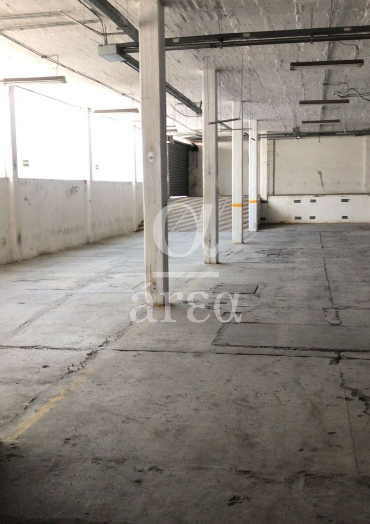 Bodega con Oficinas y Seguridad en Renta en Alce Blanco