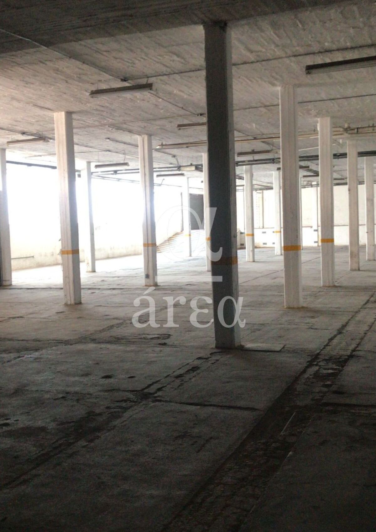 Bodega con Oficinas y Seguridad en Renta en Alce Blanco