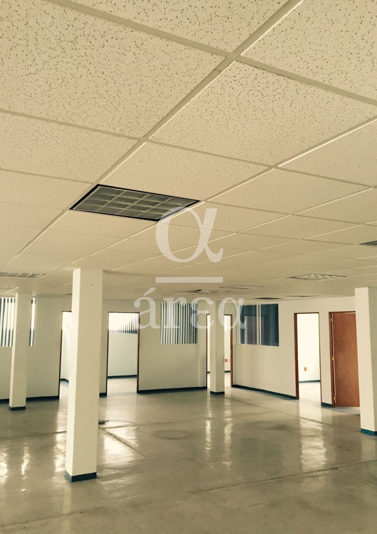 Bodega con Oficinas y Seguridad en Renta en Alce Blanco