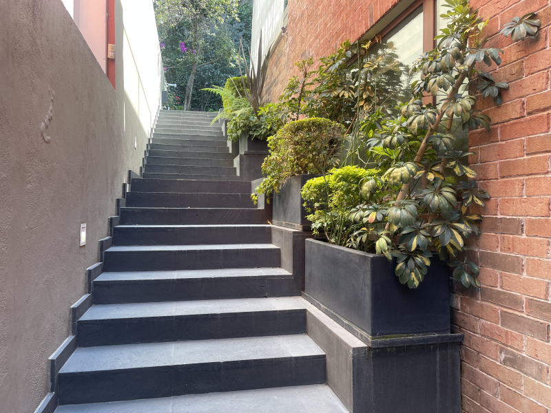 RENTA CASA EN PRIVADA - AHUEHUETES SUR - BOSQUES DE LAS LOMAS 