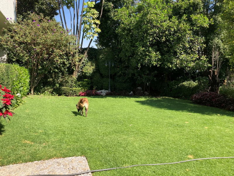 Casa En Venta En Bosque De Las Lomas, Bosque De Alerces