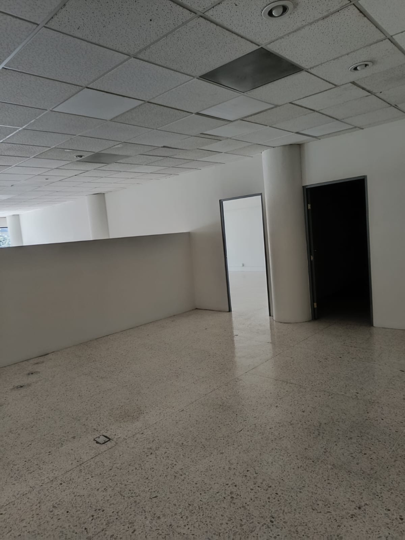 Oficina En Renta En Americana