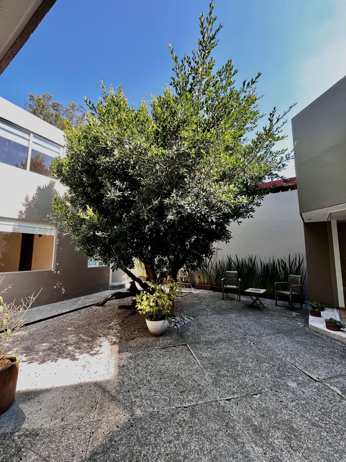 Venta Estupenda Casa Lomas De Vista Hermosa