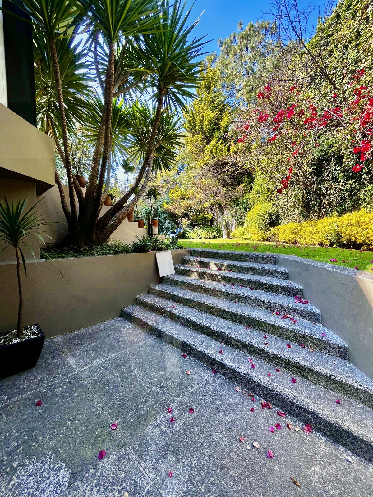 Venta Estupenda Casa Lomas De Vista Hermosa