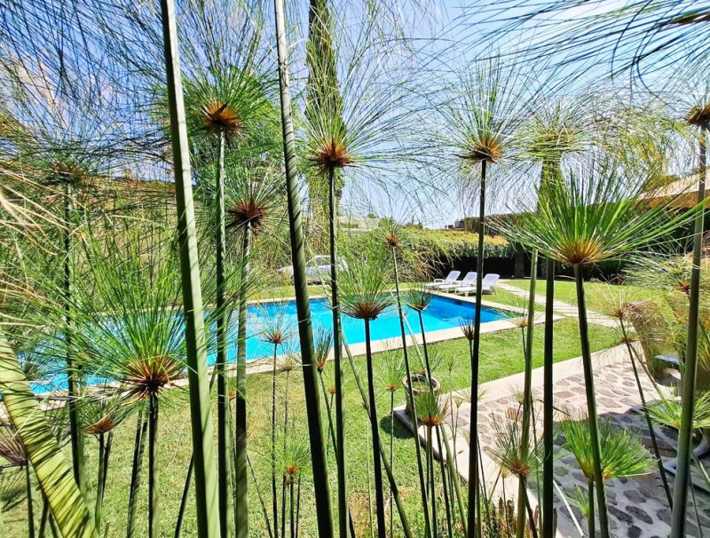 VENTA CASA, CUERNAVACA MORELOS A 5 MIN DE LA UNIVERSIDAD