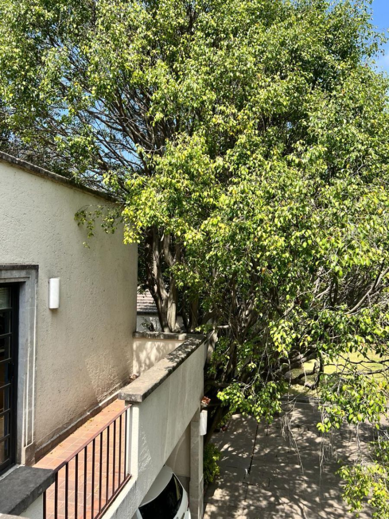 casa en condominio en venta en bosques de las lomas