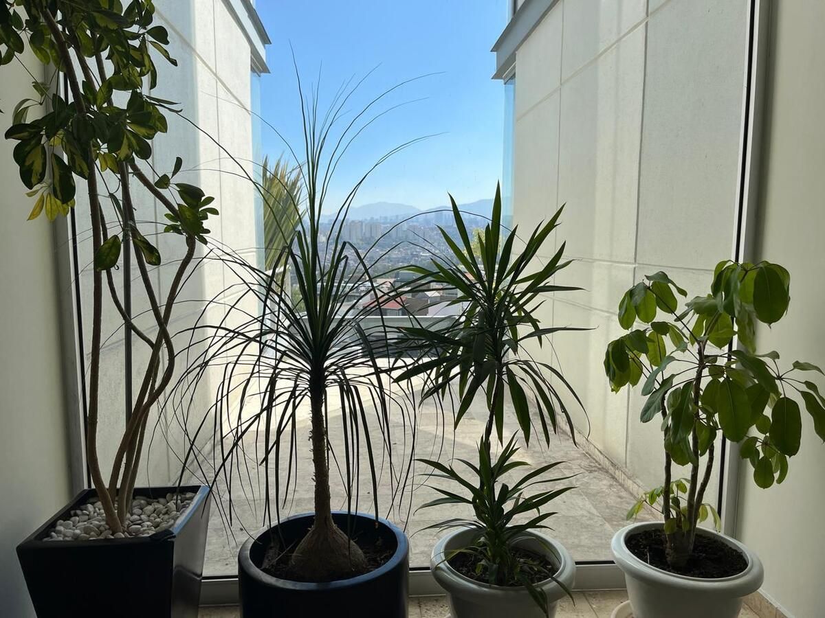 DEPARTAMENTO VENTA BOSQUE REAL