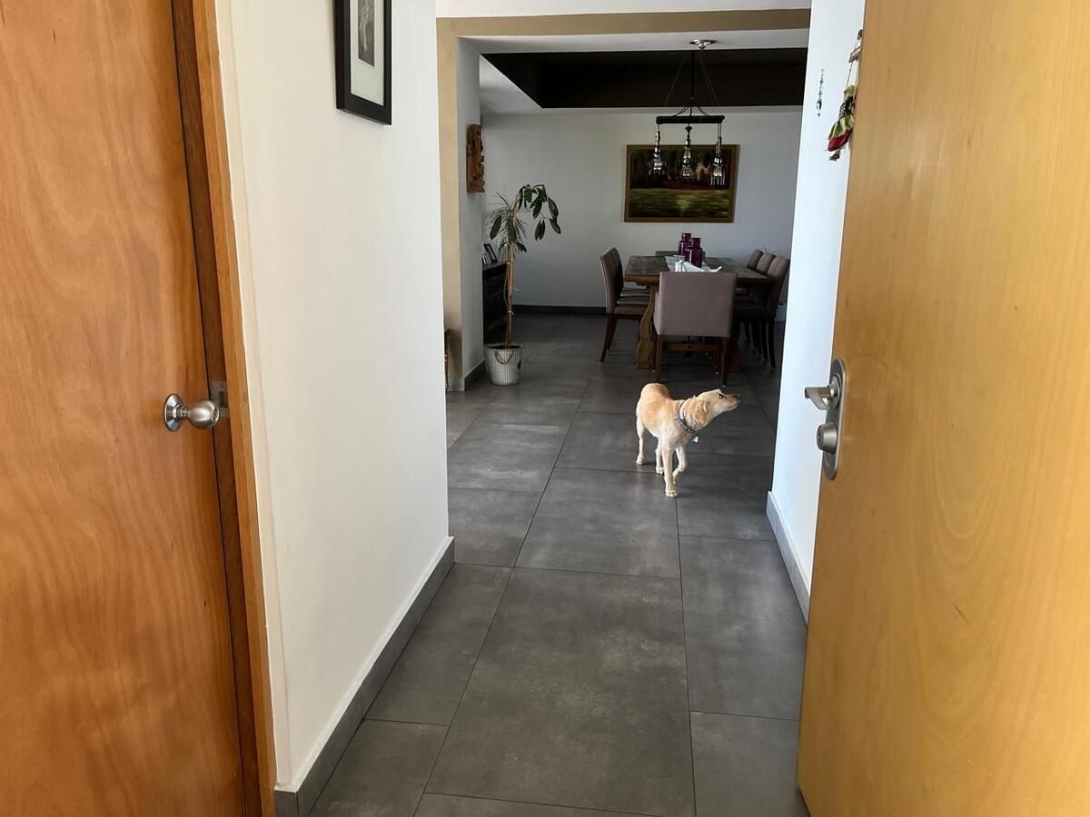 DEPARTAMENTO VENTA BOSQUE REAL