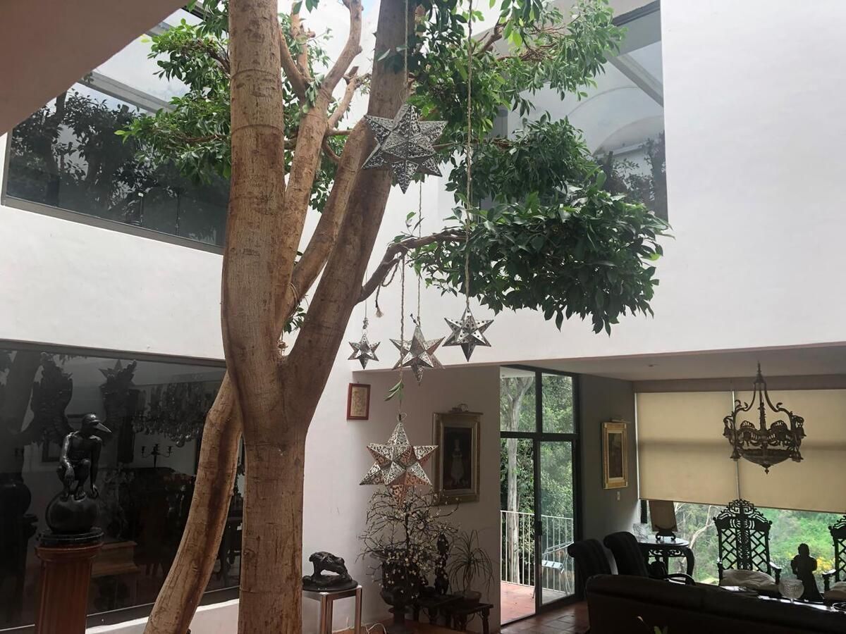 RENTA DEPARTAMENTO LOMAS ALTAS