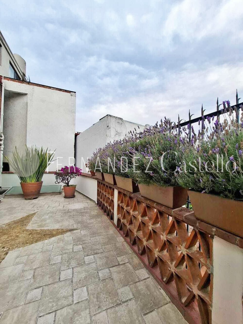 Renta Casa Altavista Álvaro Obregón SEMI AMUEBLADA Con TERRAZA  