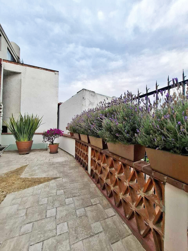 Renta Casa AMUEBLADA Con TERRAZA En Altavista, Álvaro Obregón