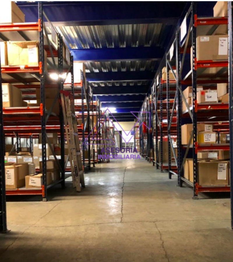 Bodega En Renta En San Miguel Chapultepec I Sección