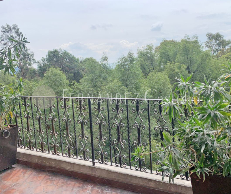 RENTA DE DEPARTAMENTO AMUEBLADO EN POLANCO