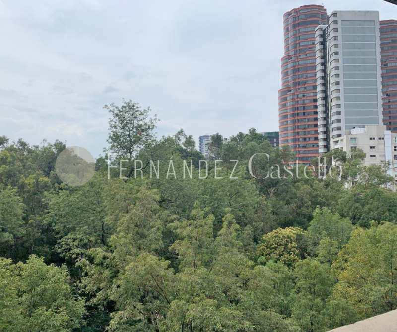 RENTA DE DEPARTAMENTO AMUEBLADO EN POLANCO