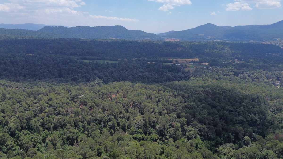 Terreno Rancho San Simón