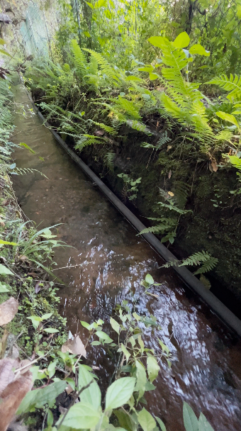 Terreno con Riachuelo en Cerro Gordo