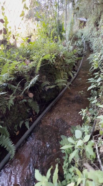 Terreno con Riachuelo en Cerro Gordo