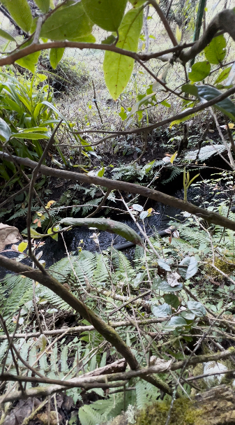 Terreno con Riachuelo en Cerro Gordo