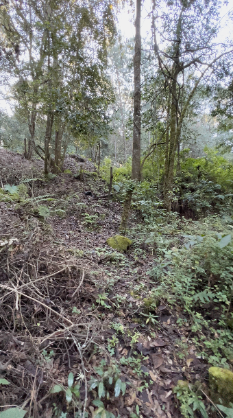 Terreno con Riachuelo en Cerro Gordo