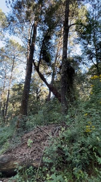 Terreno con Riachuelo en Cerro Gordo
