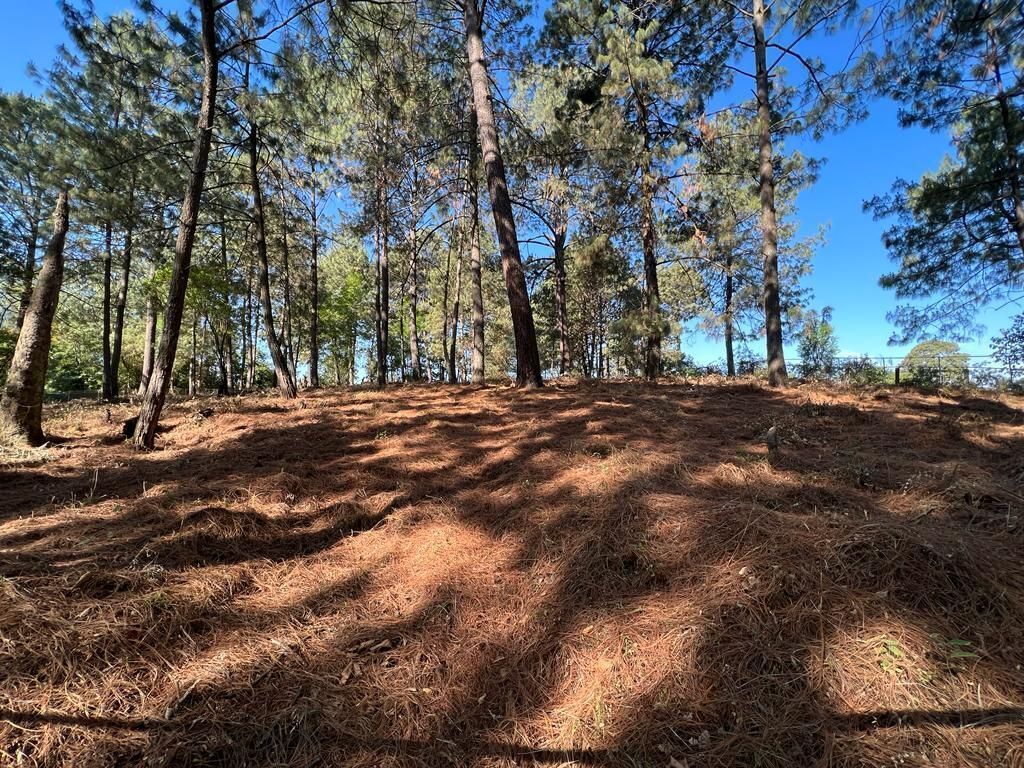 Terreno Boscoso en Cerro Gordo , Valle de Bravo