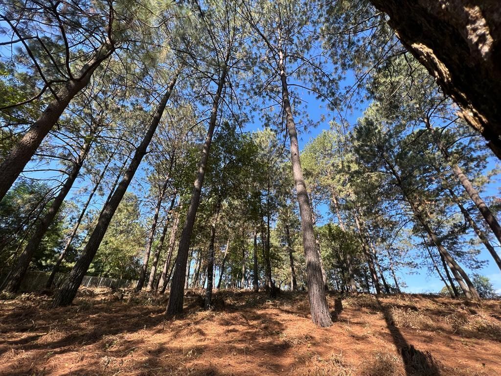 Terreno Boscoso en Cerro Gordo , Valle de Bravo