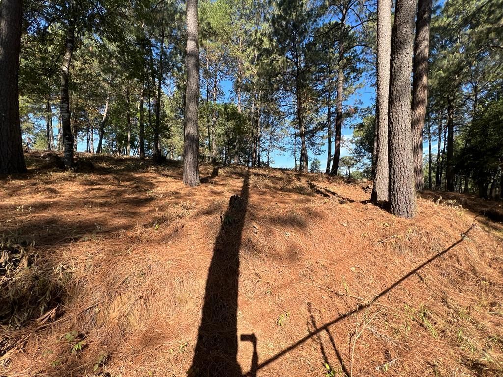 Terreno Boscoso en Cerro Gordo , Valle de Bravo