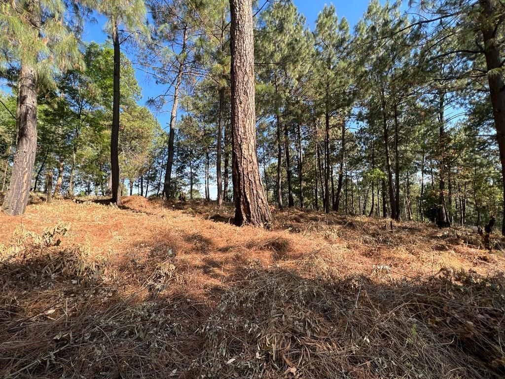 Terreno Boscoso en Cerro Gordo , Valle de Bravo
