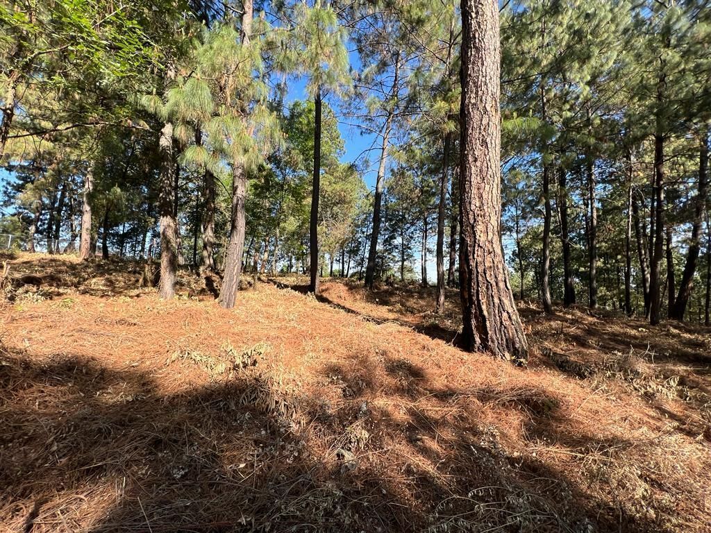 Terreno Boscoso en Cerro Gordo , Valle de Bravo