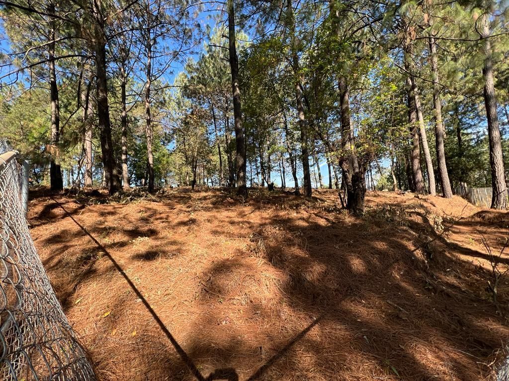 Terreno Boscoso en Cerro Gordo , Valle de Bravo