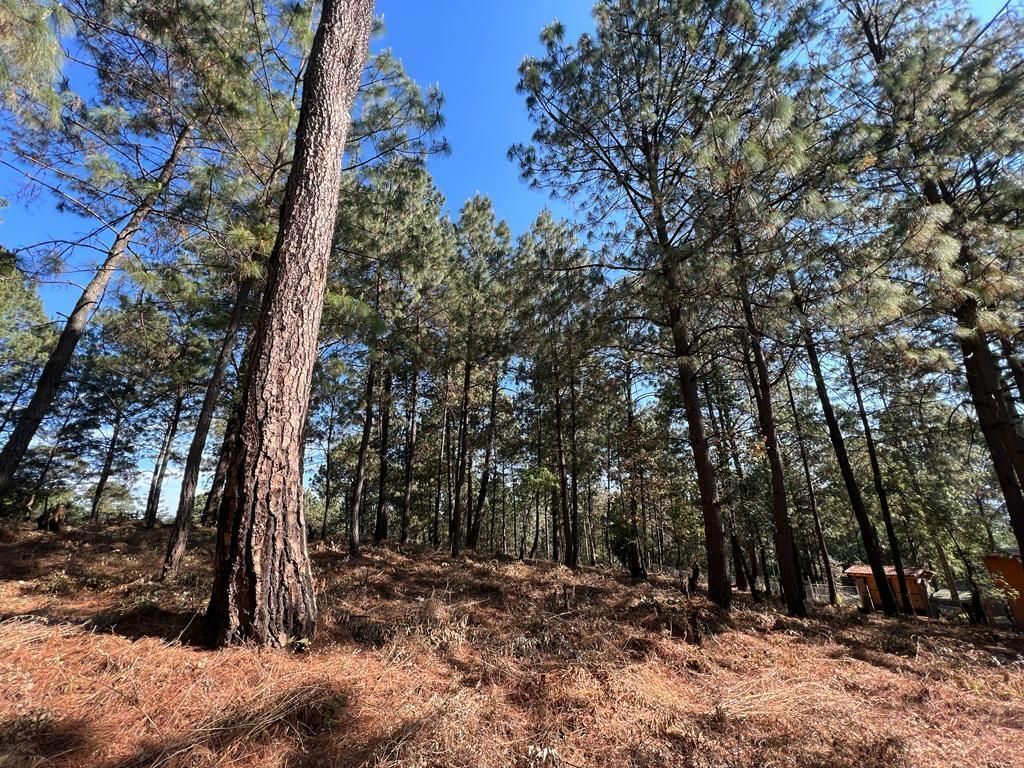 Terreno Boscoso en Cerro Gordo , Valle de Bravo