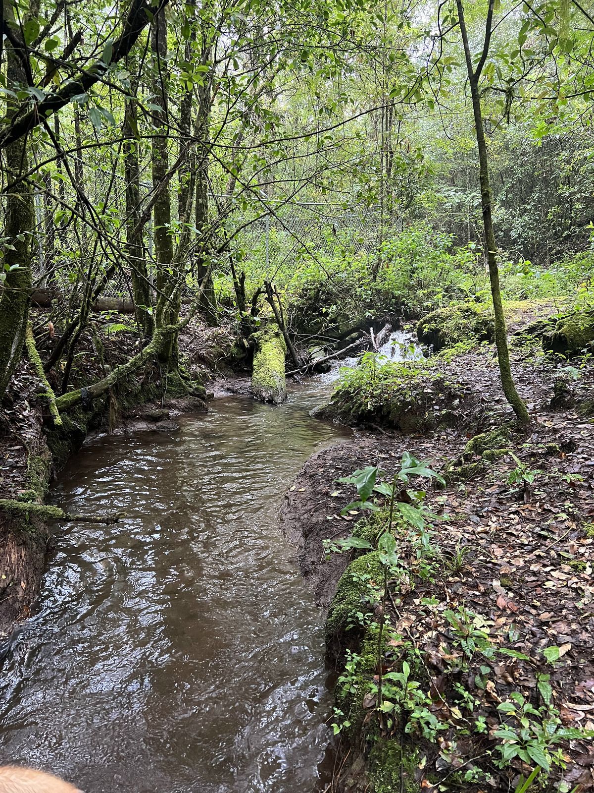 Bosque Privado en Cerro Gordo
