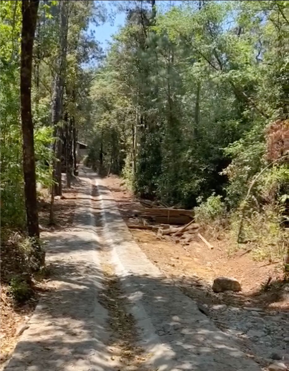 Bosque Privado en Cerro Gordo