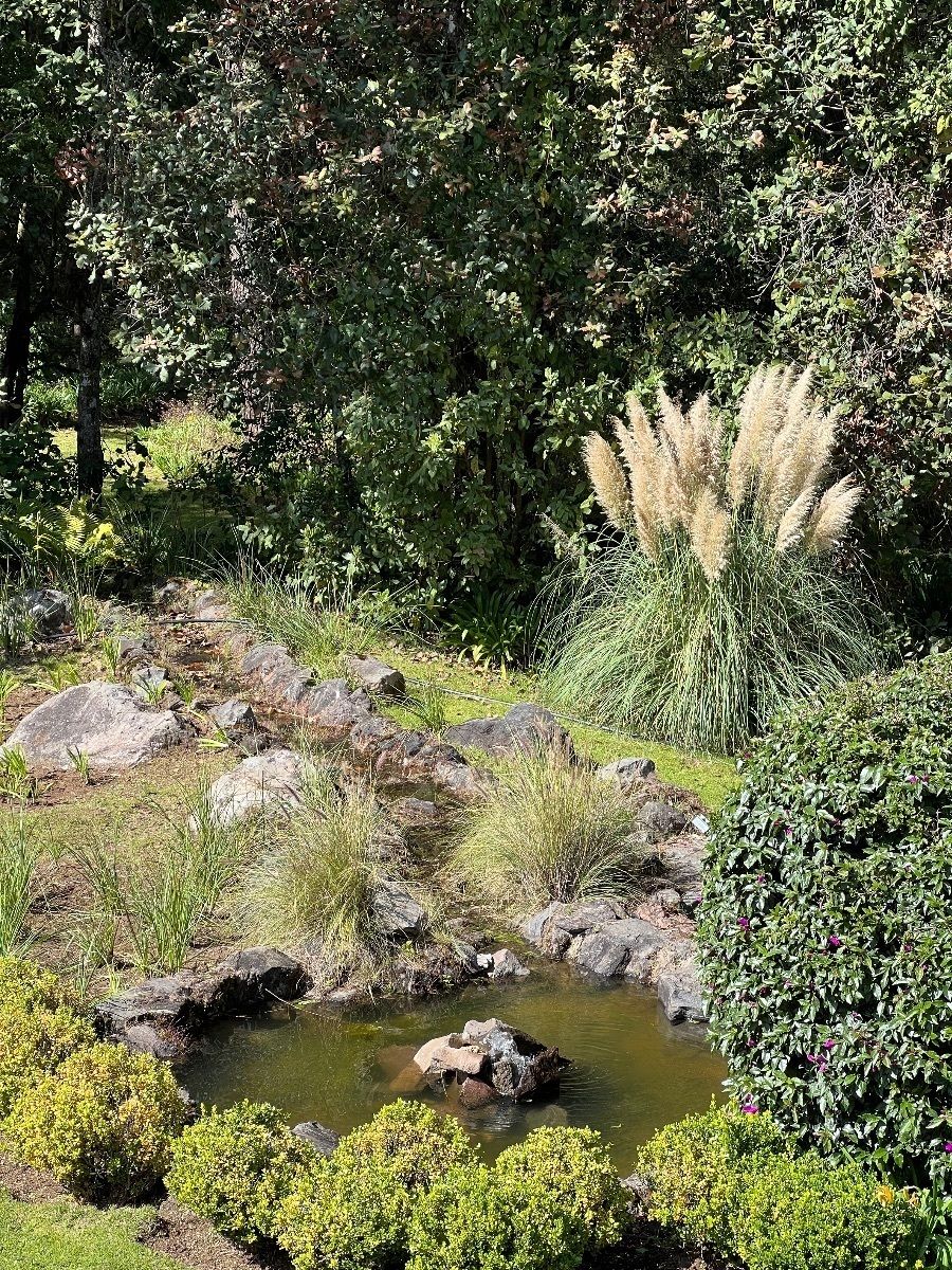 Rancho de 8 Hectáreas en el Manzano, Valle de Bravo