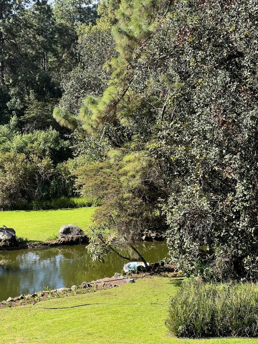 Rancho de 8 Hectáreas en el Manzano, Valle de Bravo