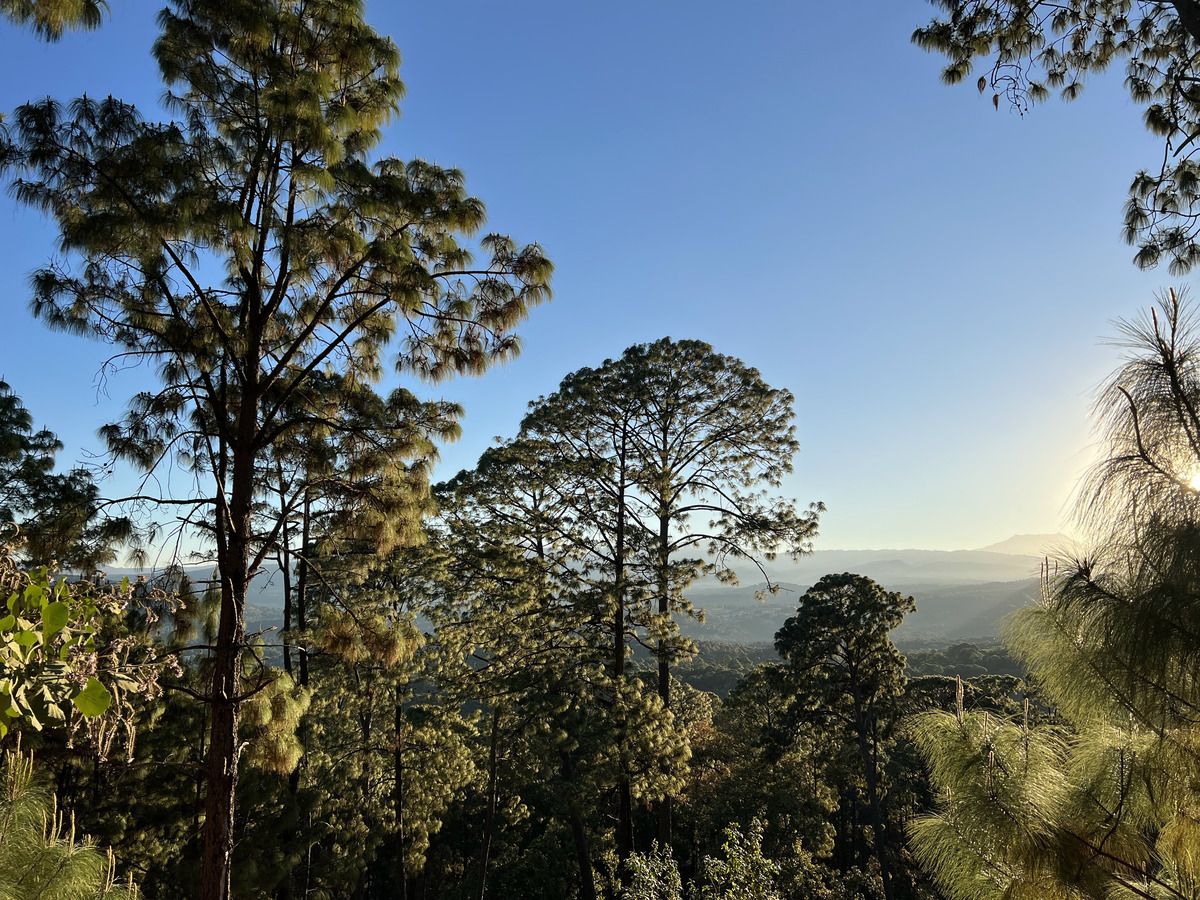 Top of the Hill Cerro Gordo
